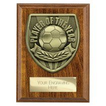 Cobra Plaque Football Trophy | Player of the Year | 125mm | Brown