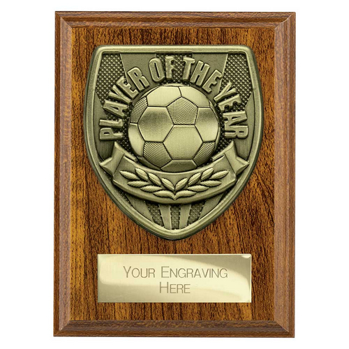 Cobra Plaque Football Trophy | Player of the Year | 125mm | Brown