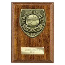 Cobra Plaque Football Trophy | Player of the Year | 150mm | Brown