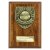 Cobra Plaque Football Trophy | Player of the Year | 150mm | Brown - PN25111C