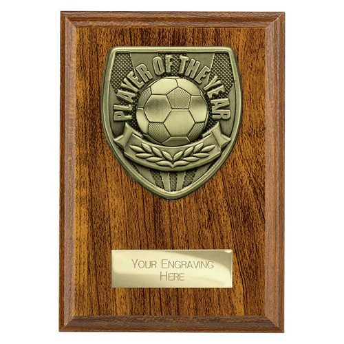 Cobra Plaque Football Trophy | Player of the Year | 150mm | Brown