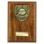 Cobra Plaque Football Trophy | Player of the Year | 175mm | Brown - PN25111D