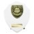 Cobra Shield Football Trophy | Most Improved | 150mm | White - PT25107C