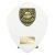 Cobra Shield Football Trophy | Player of the Year | 175mm | White - PT25111D
