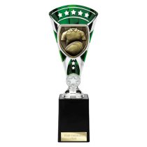 Cobra Star Rugby Shirt & Ball Trophy | Green & Silver | 255mm