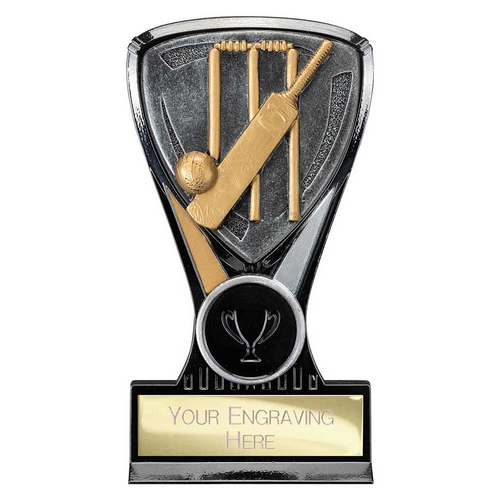Wolverine Cricket Trophy Plaque | 130mm