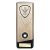 Prime Heavyweight Cricket Trophy | Gold | 190mm - PM25442B