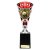 Cobra Star Cricket Trophy | Red & Silver | 255mm - TD24209C