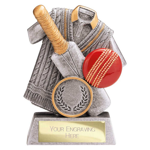 Spirit Cricket Trophy | 100mm