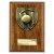Cobra Plaque Cricket Trophy | Walnut | 150mm - PN24209C