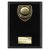 Cobra Plaque Pool Trophy | Black | 175mm - PL24204D