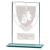 Millennium Boxing Glass Trophy | 125mm - CR25244B