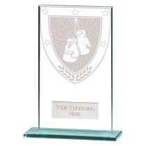 Millennium Boxing Glass Trophy | 140mm