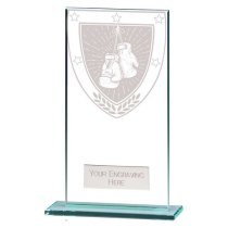 Millennium Boxing Glass Trophy | 160mm