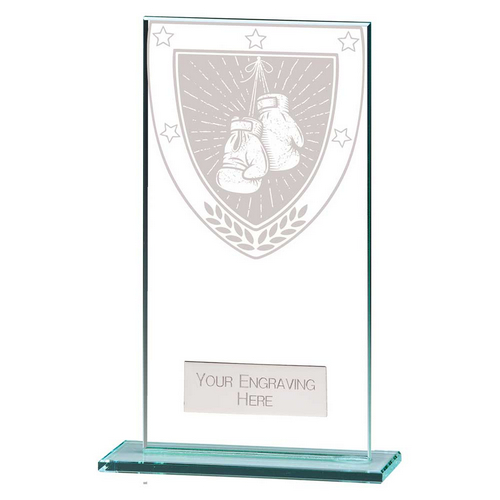 Millennium Boxing Glass Trophy | 160mm
