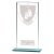 Millennium Boxing Glass Trophy | 180mm - CR25244E