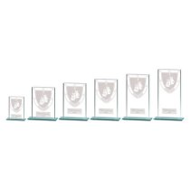 Millennium Boxing Glass Trophy | 180mm