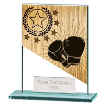 Mustang Boxing Glass Trophy | 110mm