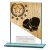 Mustang Boxing Glass Trophy | 110mm - CR25254B