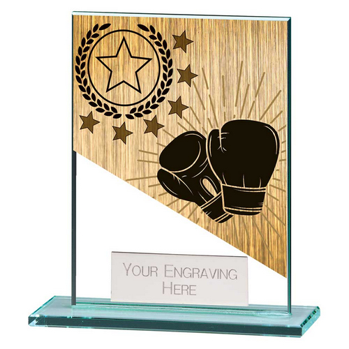 Mustang Boxing Glass Trophy | 110mm