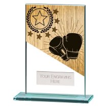 Mustang Boxing Glass Trophy | 125mm