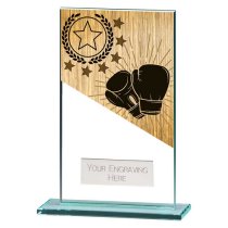 Mustang Boxing Glass Trophy | 140mm
