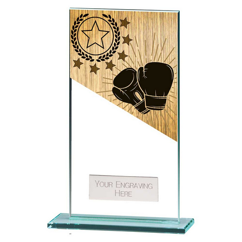 Mustang Boxing Glass Trophy | 160mm