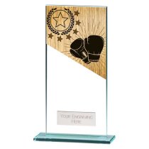 Mustang Boxing Glass Trophy | 180mm