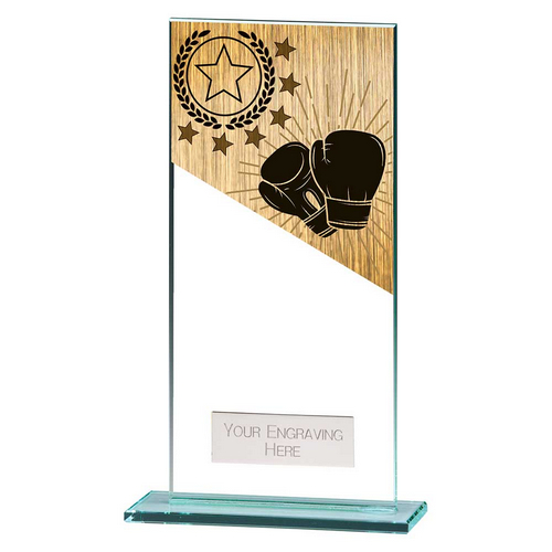 Mustang Boxing Glass Trophy | 180mm