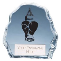Mystique Boxing Glass Trophy | 90mm