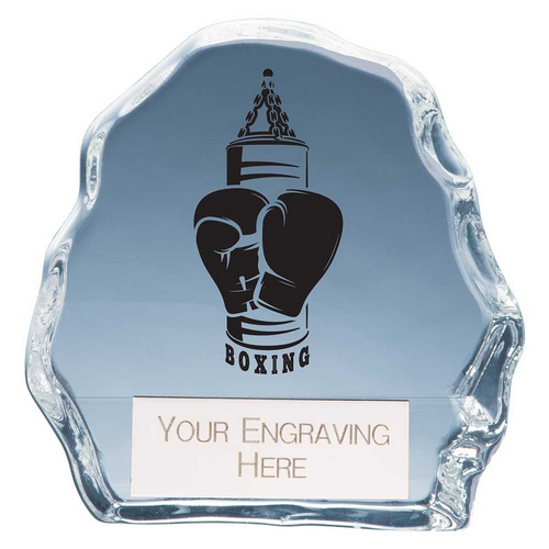 Mystique Boxing Glass Trophy | 90mm