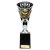 Cobra Star Boxing Trophy | Black & Silver | 255mm - TR24213C