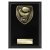 Cobra Plaque Boxing Trophy | Black | 150mm - PL24213C