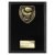 Cobra Plaque Boxing Trophy | Black | 175mm - PL24213D
