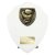 Cobra Shield Boxing Trophy | White | 175mm - PT24213D