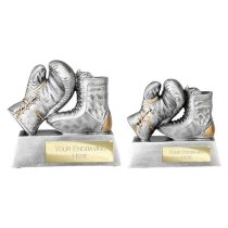 Power Boxing Trophy | 120mm