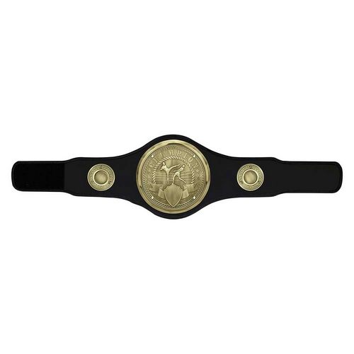 Champion Kickboxing Belt | Black | 1240 x 315mm
