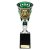 Cobra Star Martial Arts Trophy | Green & Silver | 255mm - TE24201C
