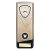 Prime Heavyweight Martial Arts Trophy | Gold | 190mm - PM25446B