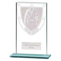 Millennium Martial Arts Trophy | 140mm
