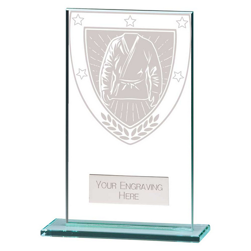 Millennium Martial Arts Trophy | 140mm