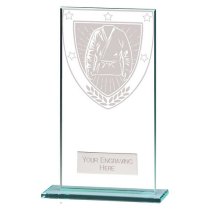 Millennium Martial Arts Trophy | 160mm