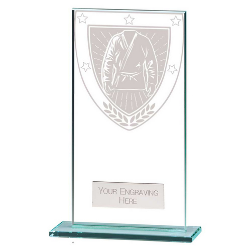 Millennium Martial Arts Trophy | 160mm