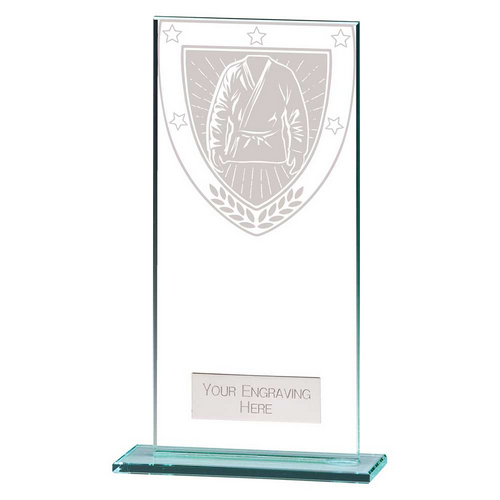 Millennium Martial Arts Trophy | 180mm