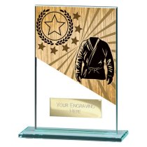 Mustang Martial Arts Trophy | 125mm