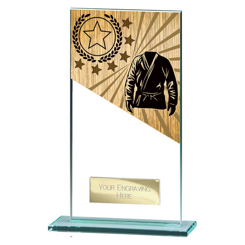 Mustang Martial Arts Trophy | 160mm