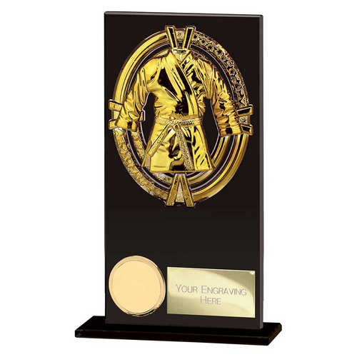 Maverick Martial Arts Trophy | 160mm