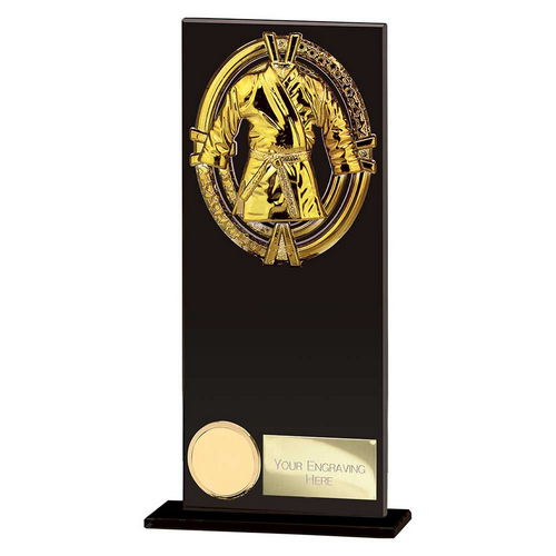 Maverick Martial Arts Trophy | 200mm
