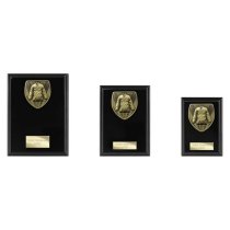 Cobra Plaque Martial Arts Trophy | Black | 125mm