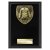 Cobra Plaque Martial Arts Trophy | Black | 150mm - PL24201C